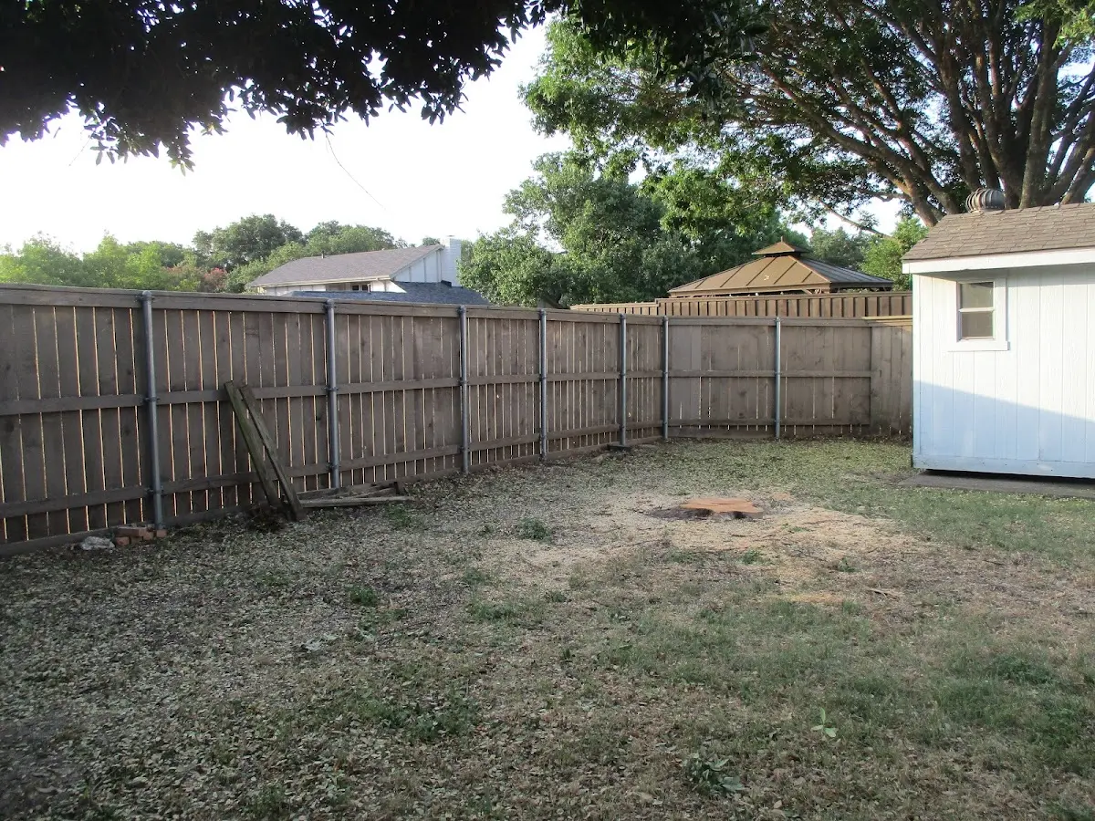 Cleared yard after professional tree removal in Cahone