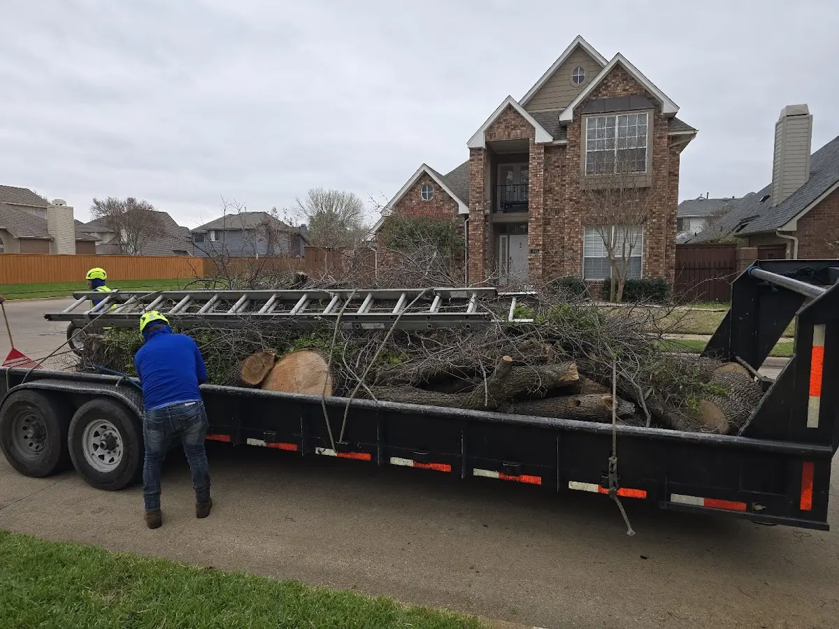 Expert Lot Clearing with proper safety equipment in Cahone